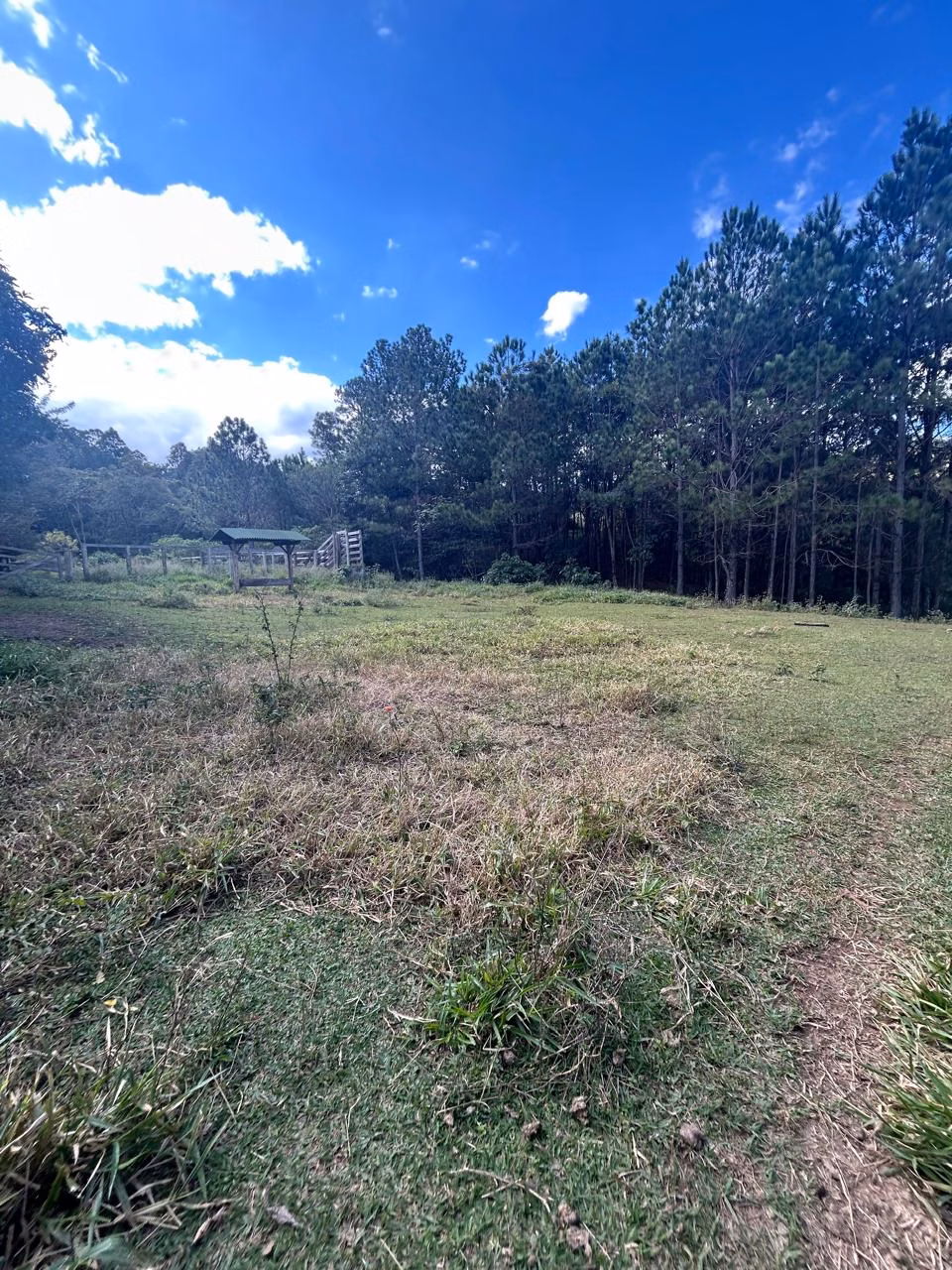 Sítio à venda e para arrendar de 3 ha em Joanópolis, SP