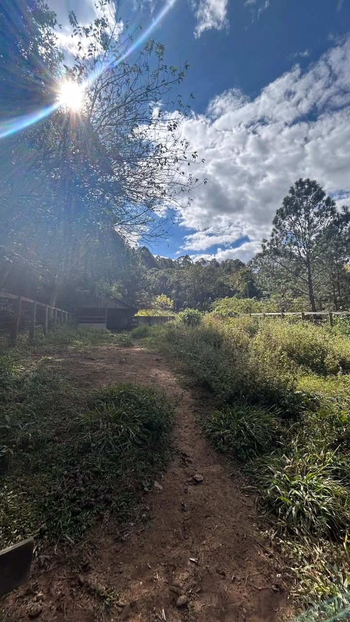 Sítio à venda e para arrendar de 3 ha em Joanópolis, SP