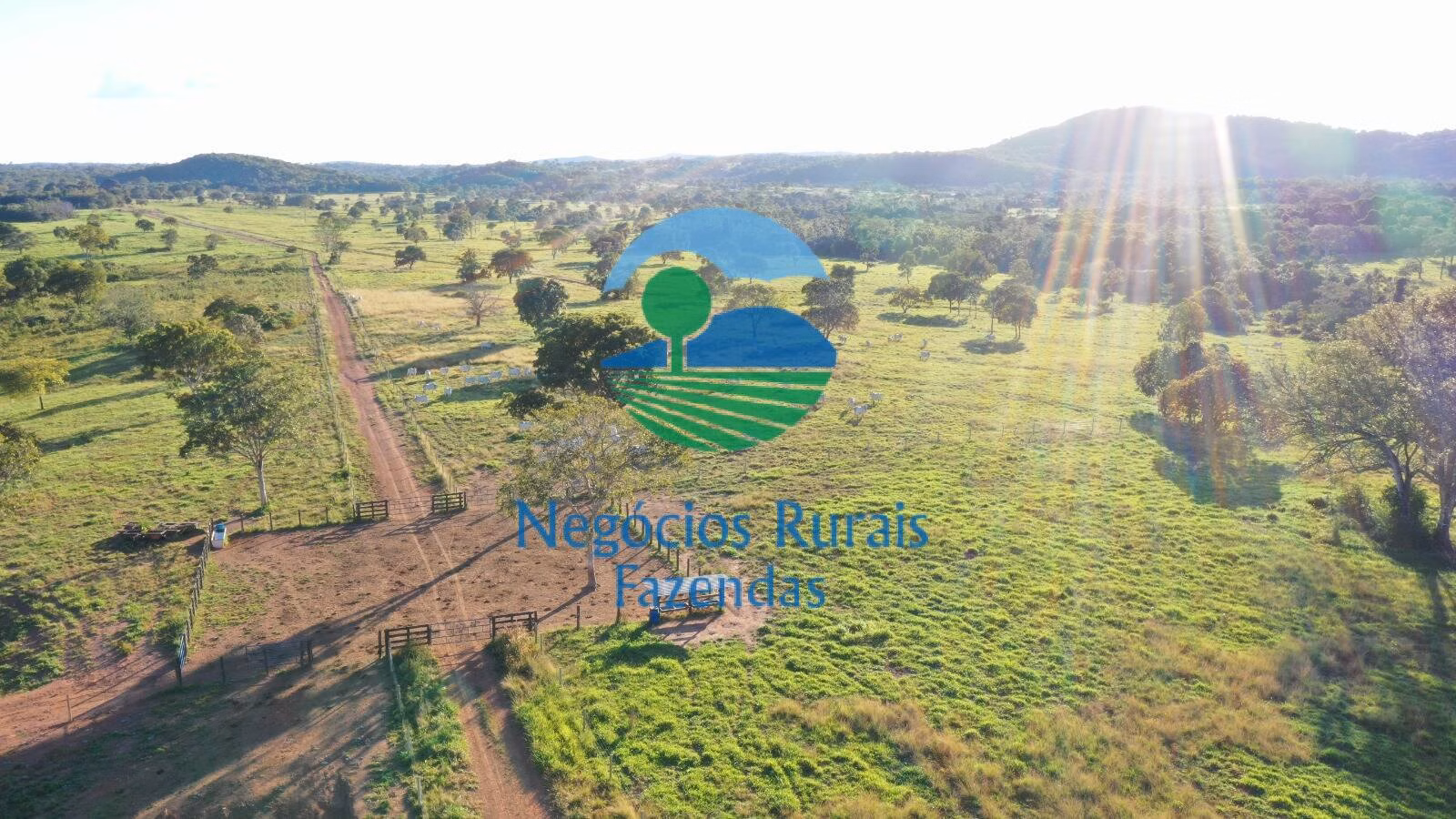 Fazenda de 726 ha em Mara Rosa, GO