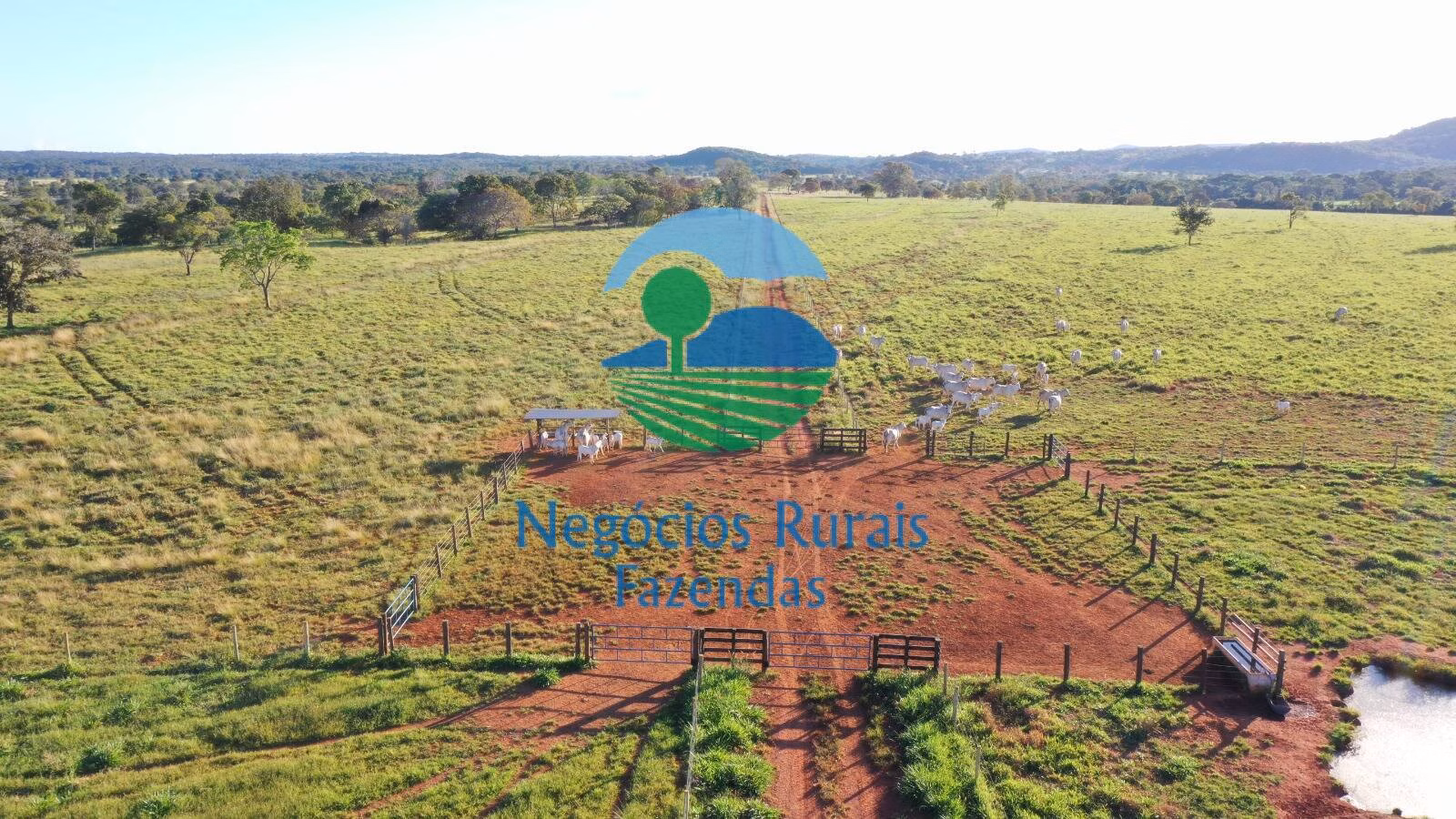 Fazenda de 726 ha em Mara Rosa, GO