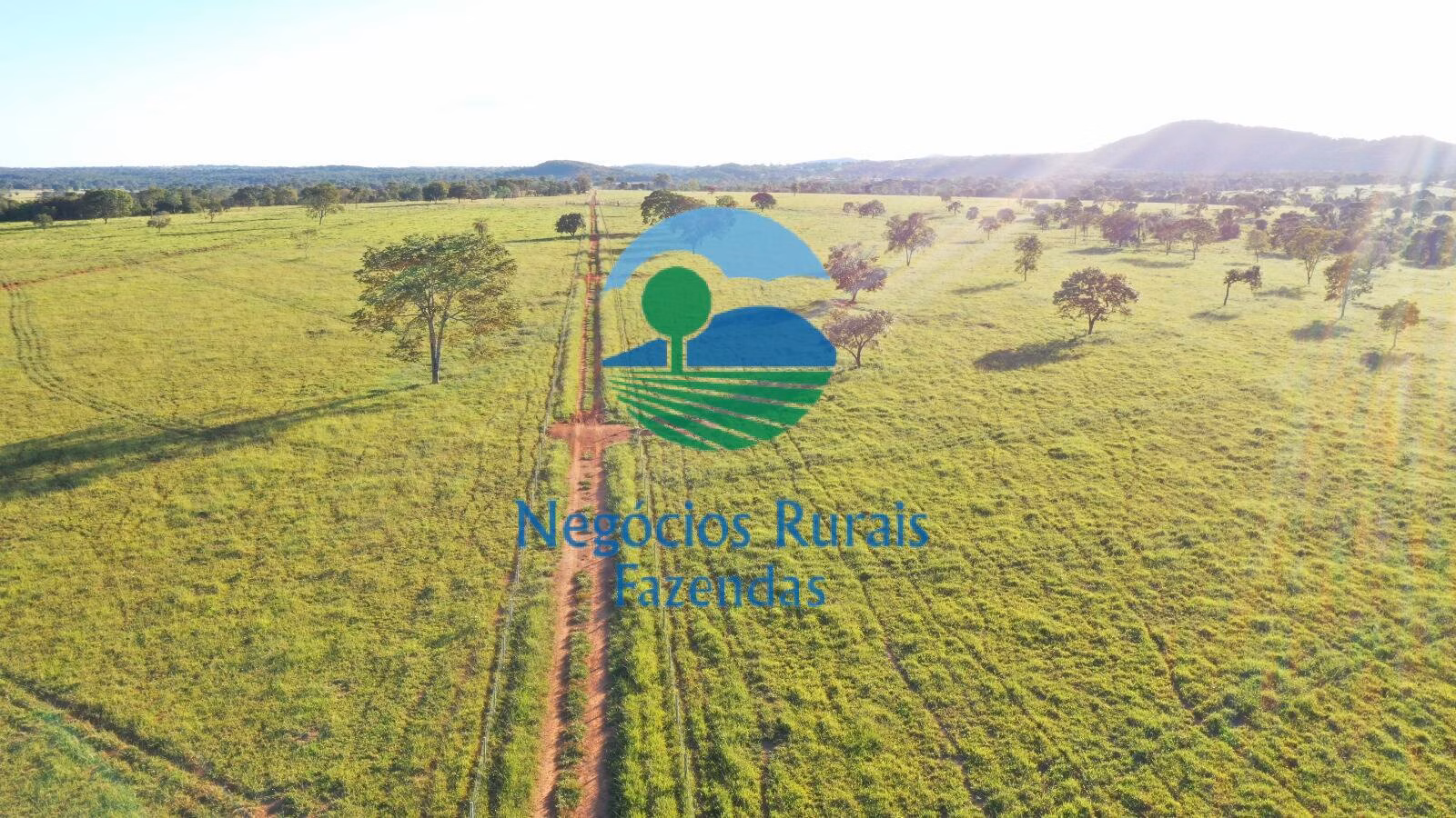 Fazenda de 726 ha em Mara Rosa, GO