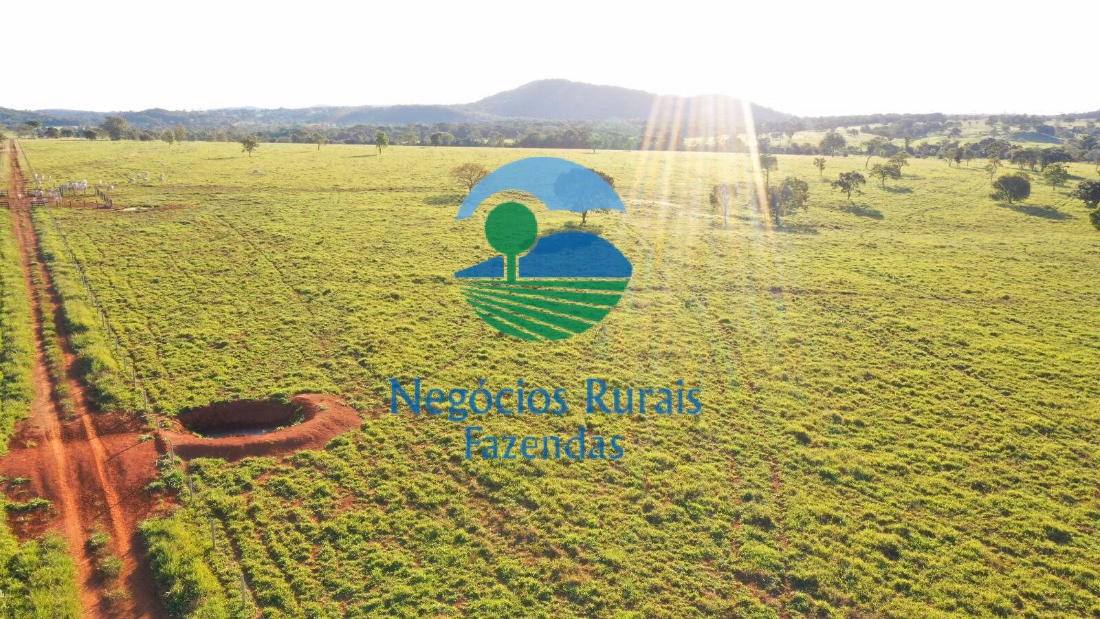Fazenda de 726 ha em Mara Rosa, GO
