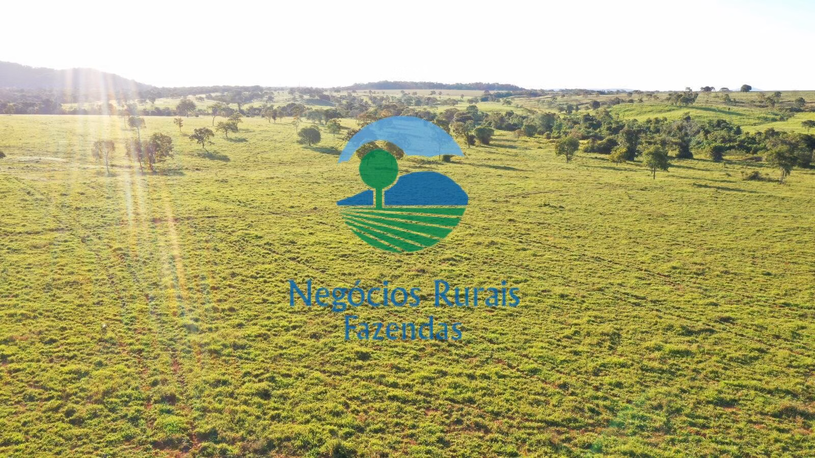 Fazenda de 726 ha em Mara Rosa, GO