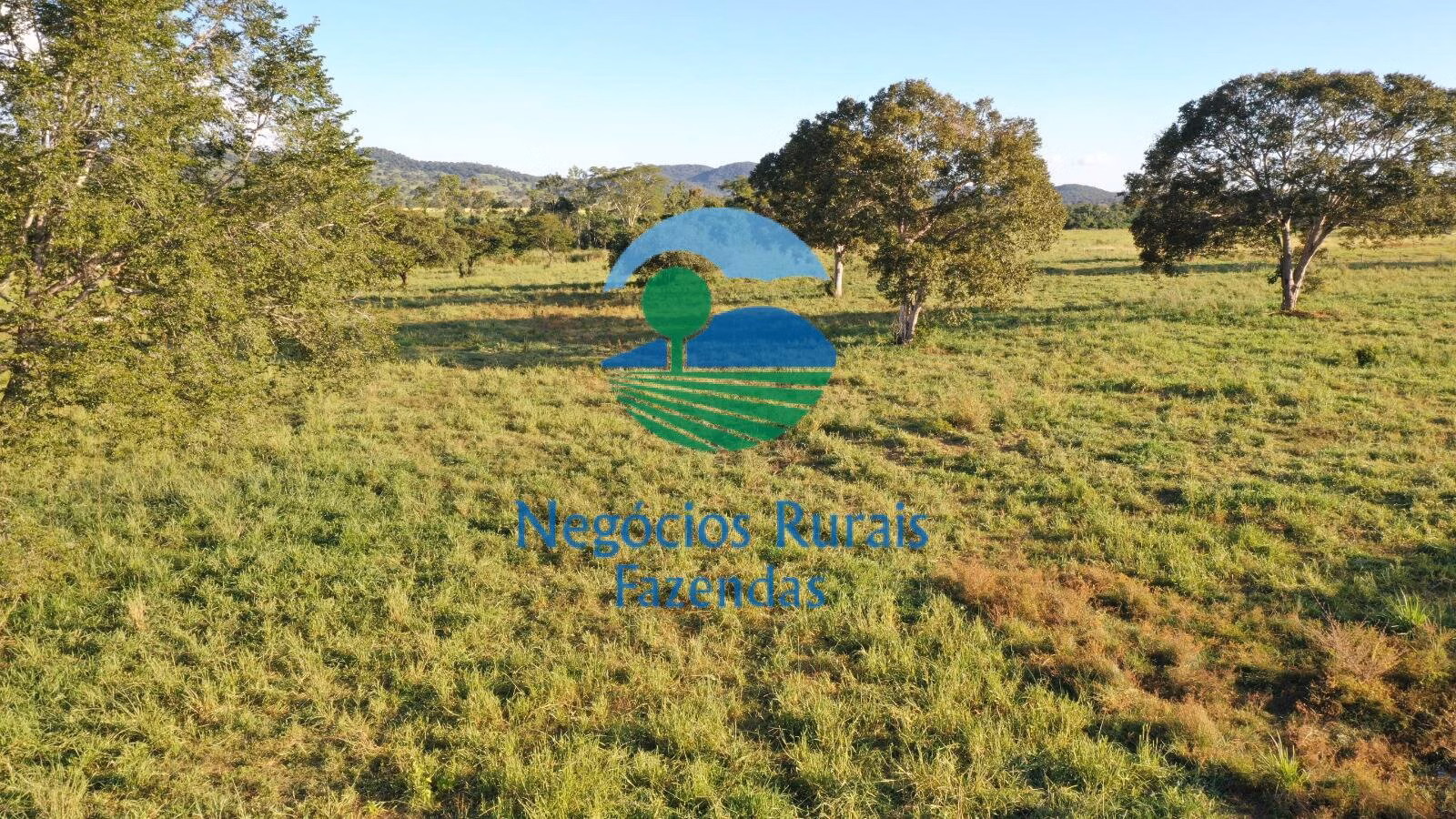 Fazenda de 726 ha em Mara Rosa, GO