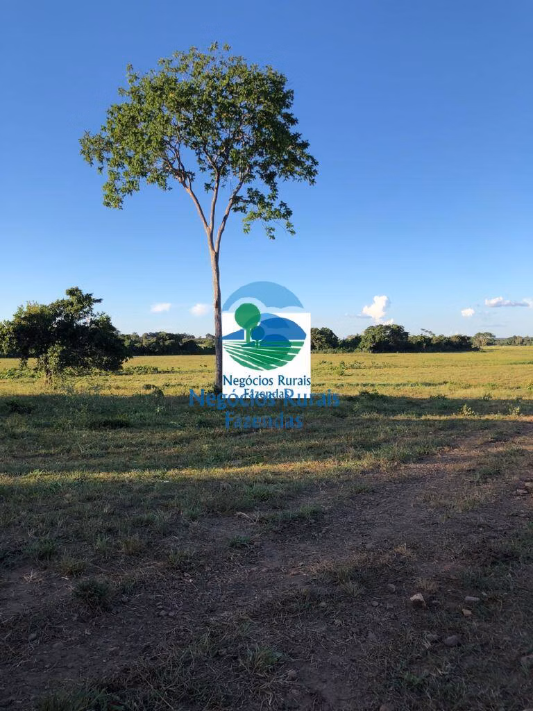 Fazenda de 726 ha em Mara Rosa, GO
