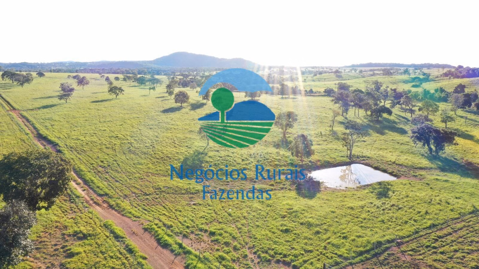 Fazenda de 726 ha em Mara Rosa, GO