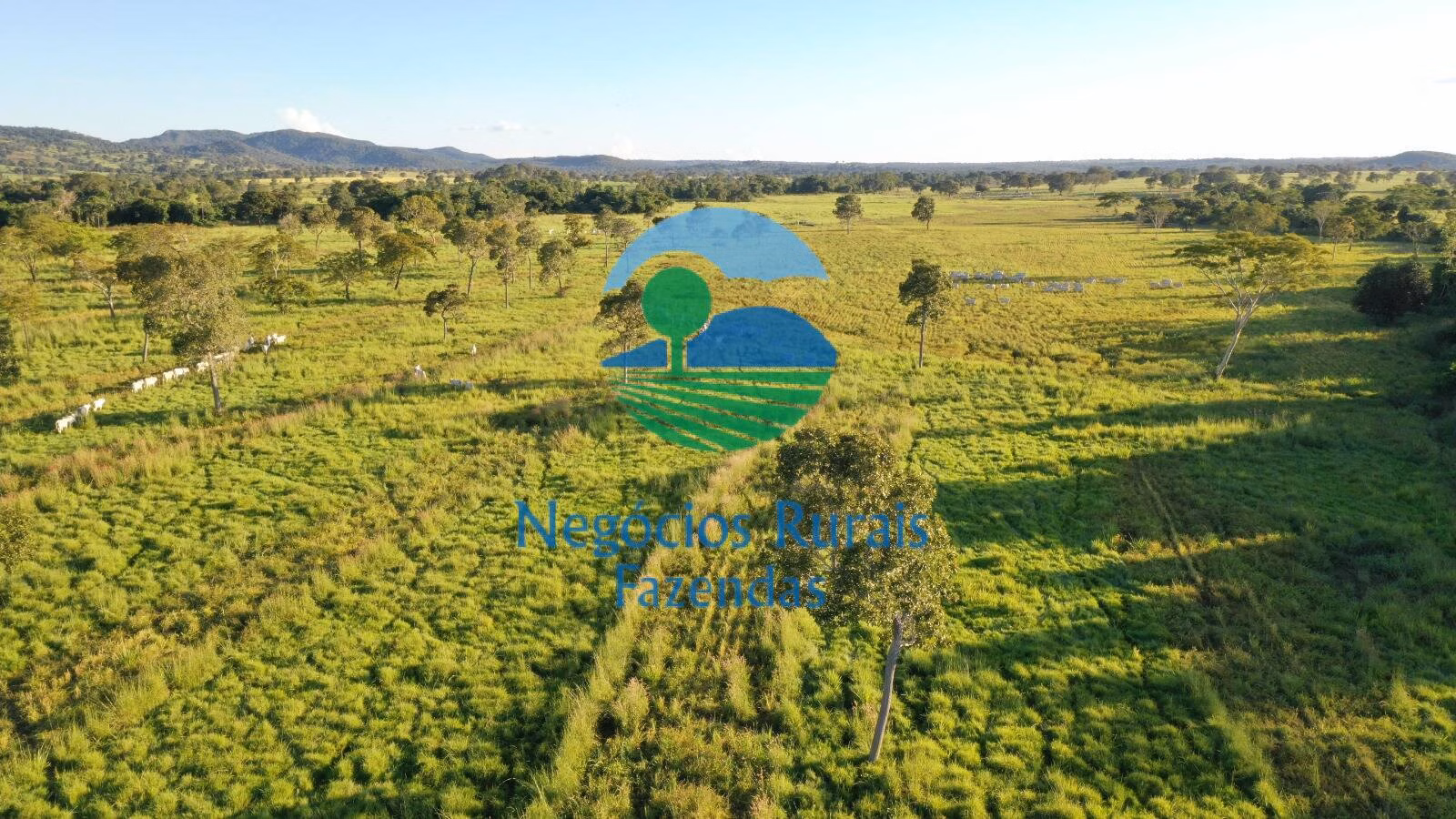 Fazenda de 726 ha em Mara Rosa, GO