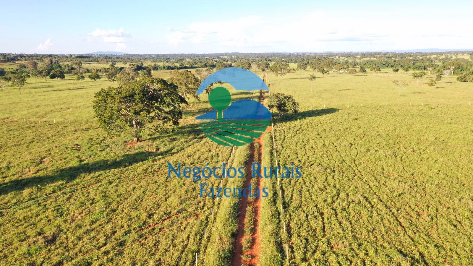 Fazenda de 726 ha em Mara Rosa, GO