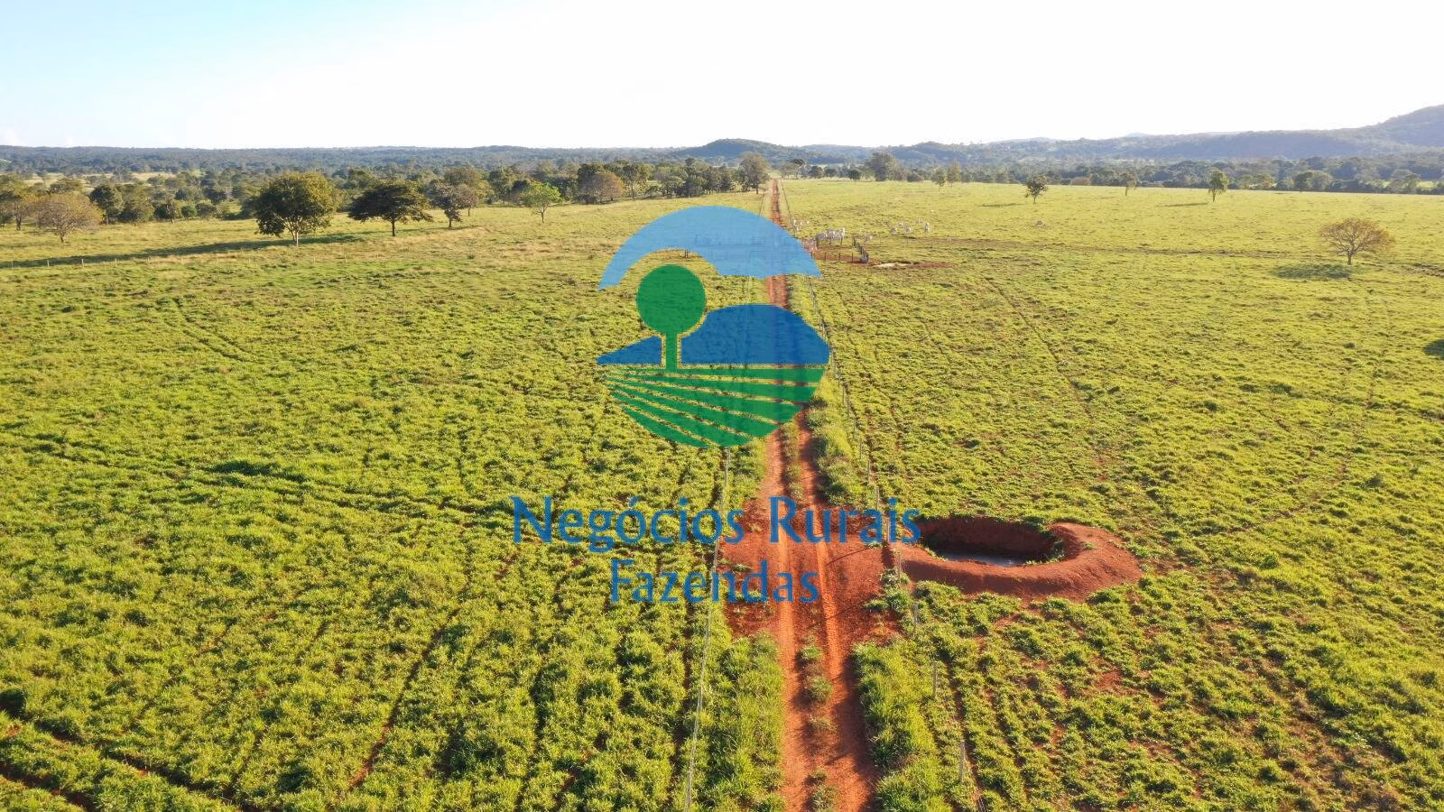 Fazenda de 726 ha em Mara Rosa, GO