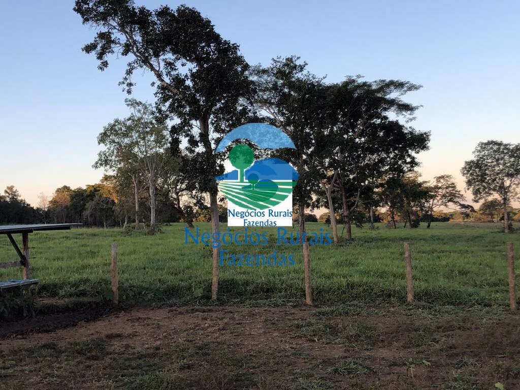 Fazenda de 726 ha em Mara Rosa, GO
