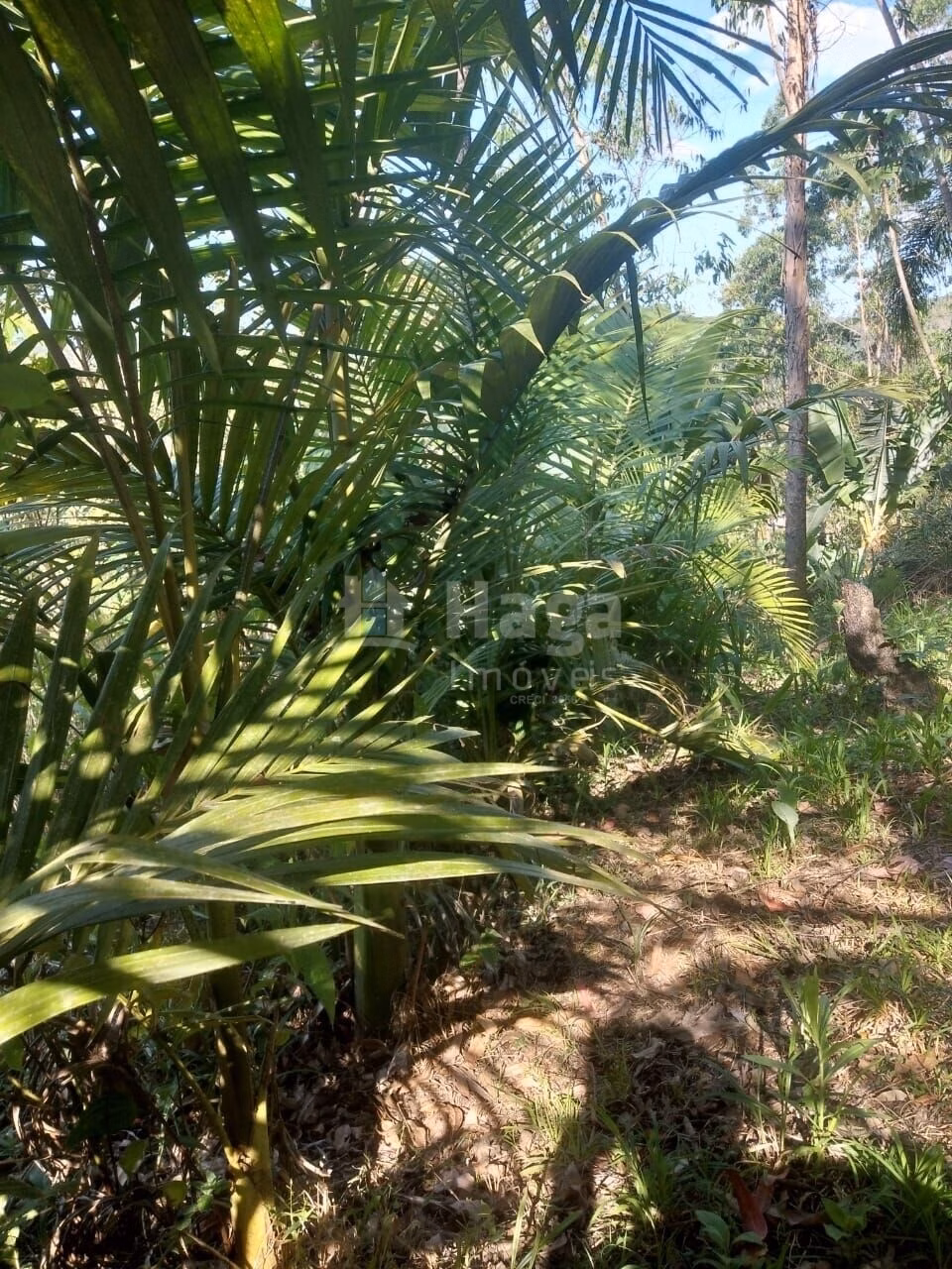 Terreno de 8.880 m² em Guabiruba, SC