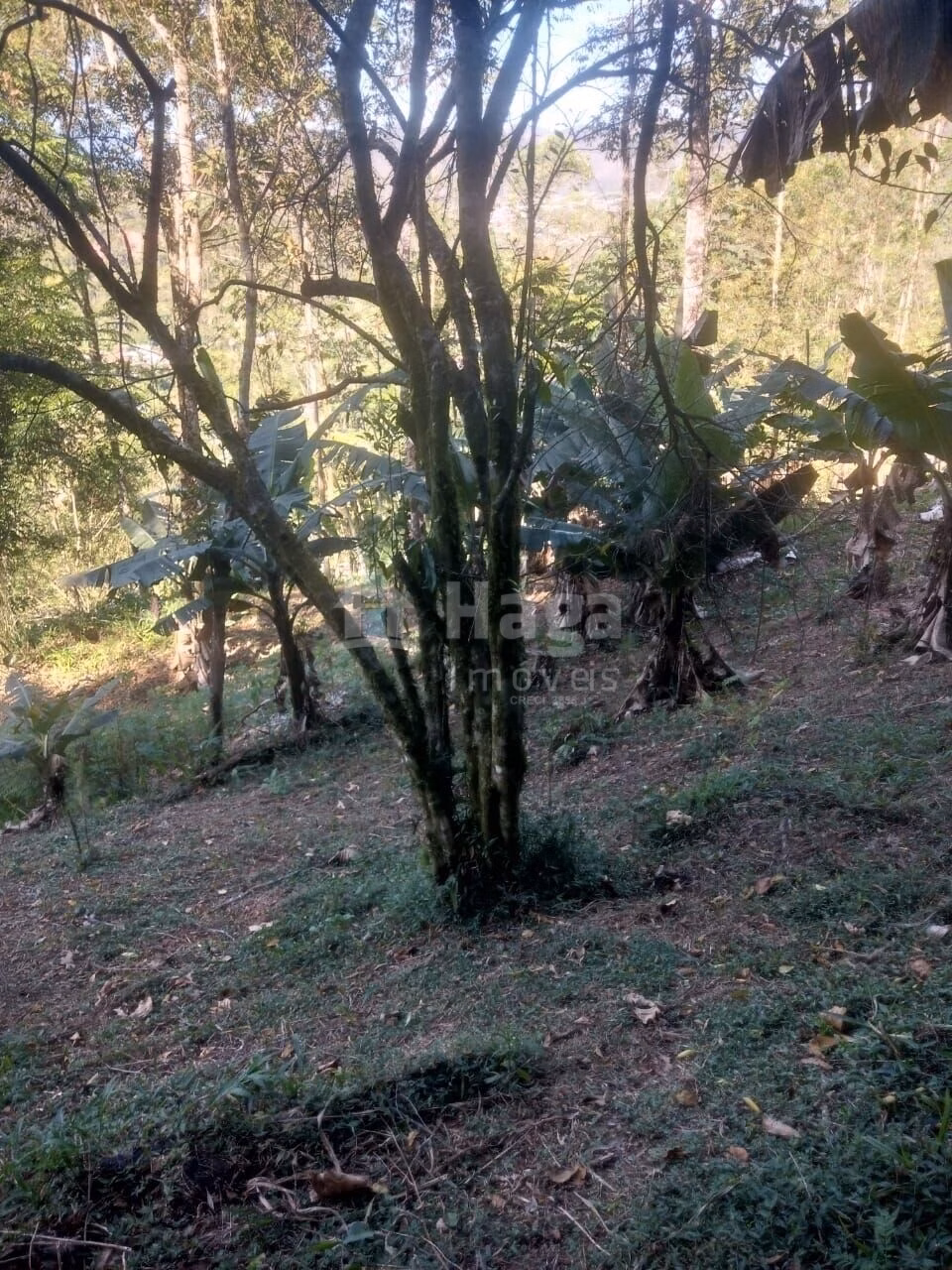 Terreno de 8.880 m² em Guabiruba, SC