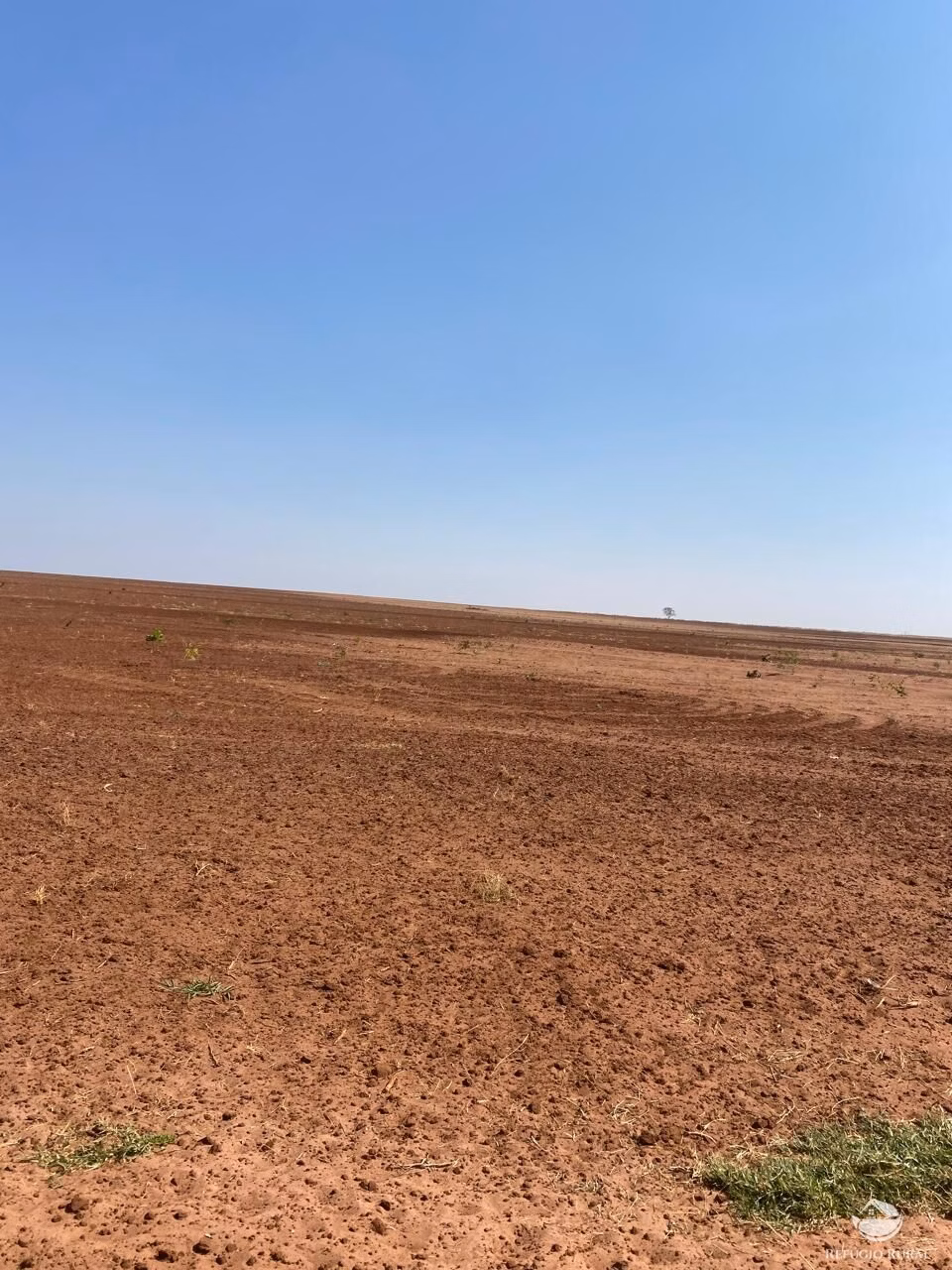 Farm of 4,942 acres in Nova Brasilândia, MT, Brazil
