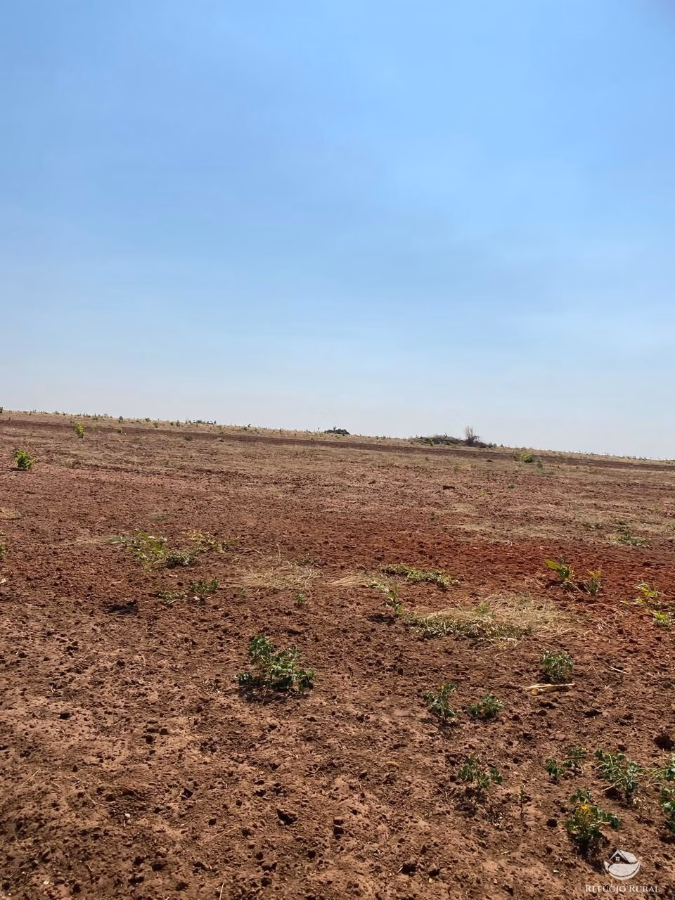 Farm of 4,942 acres in Nova Brasilândia, MT, Brazil