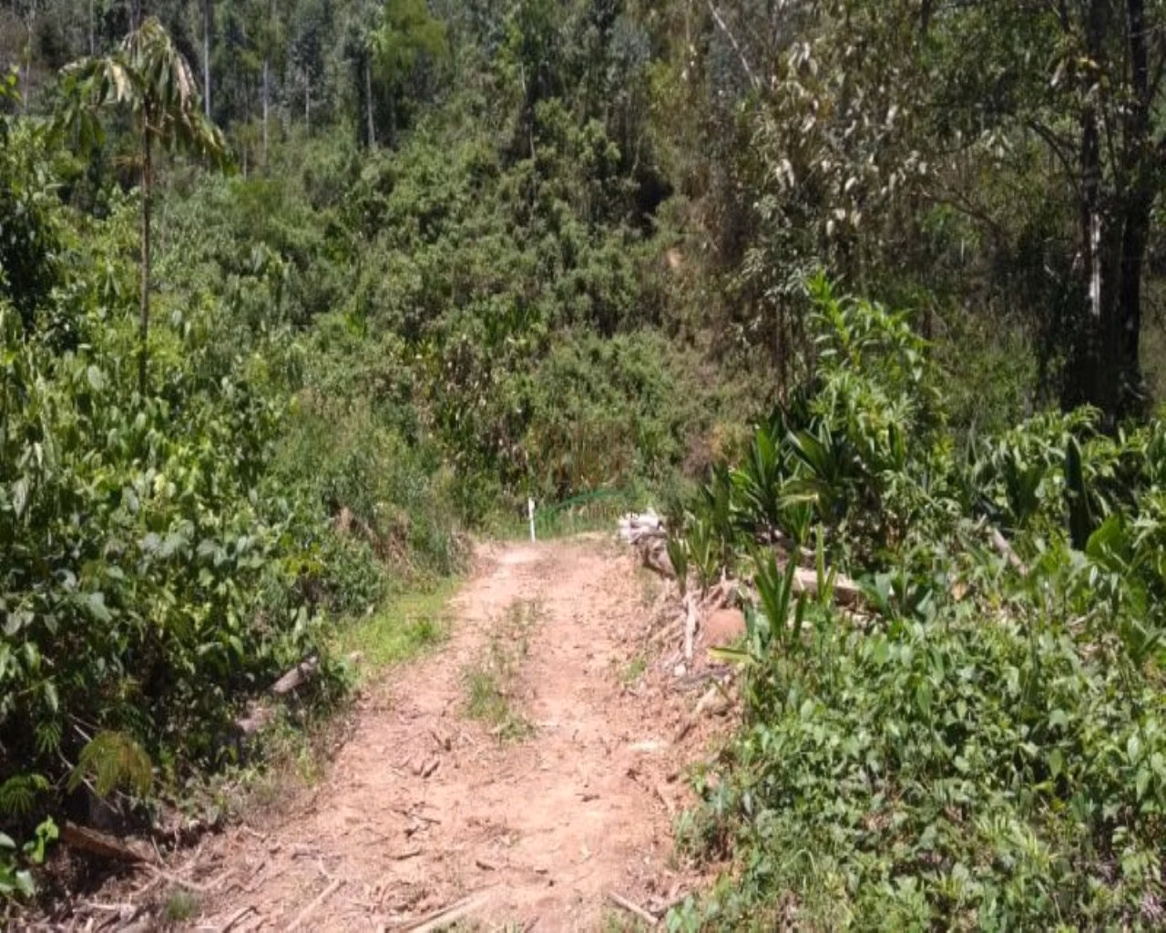 Terreno de 19 ha em Monteiro Lobato, SP