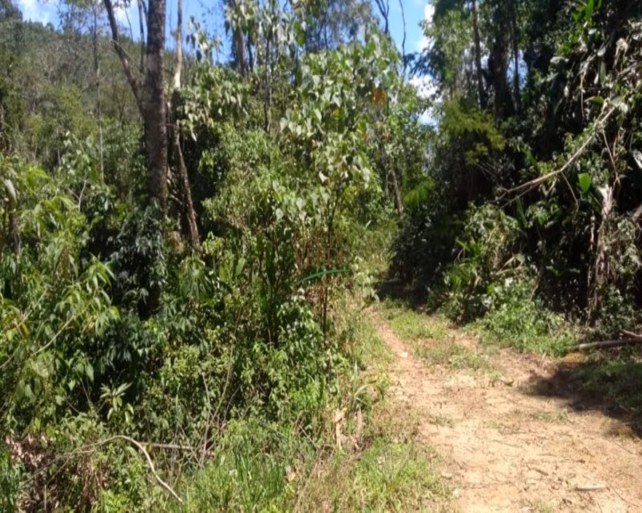 Terreno de 19 ha em Monteiro Lobato, SP