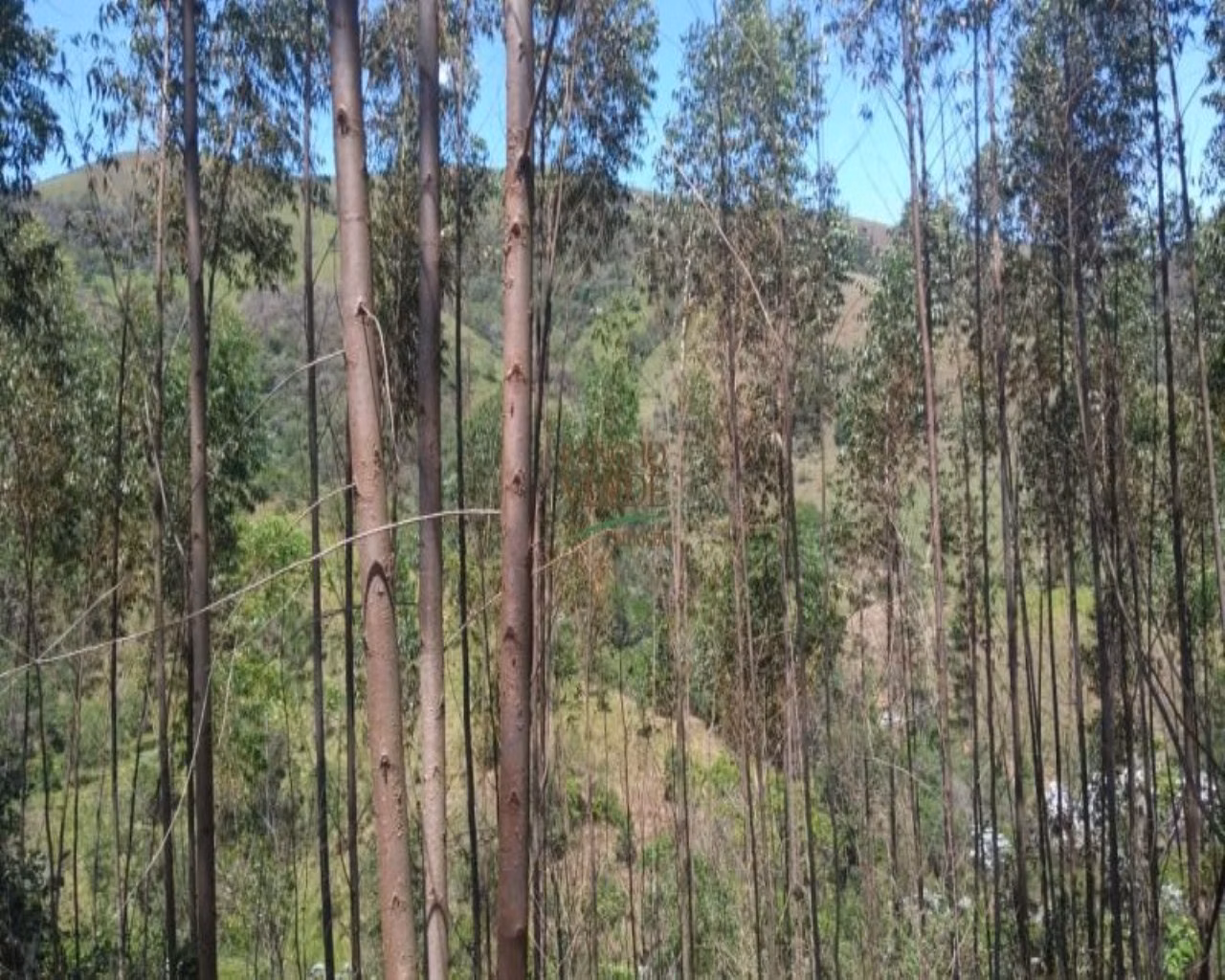Terreno de 19 ha em Monteiro Lobato, SP