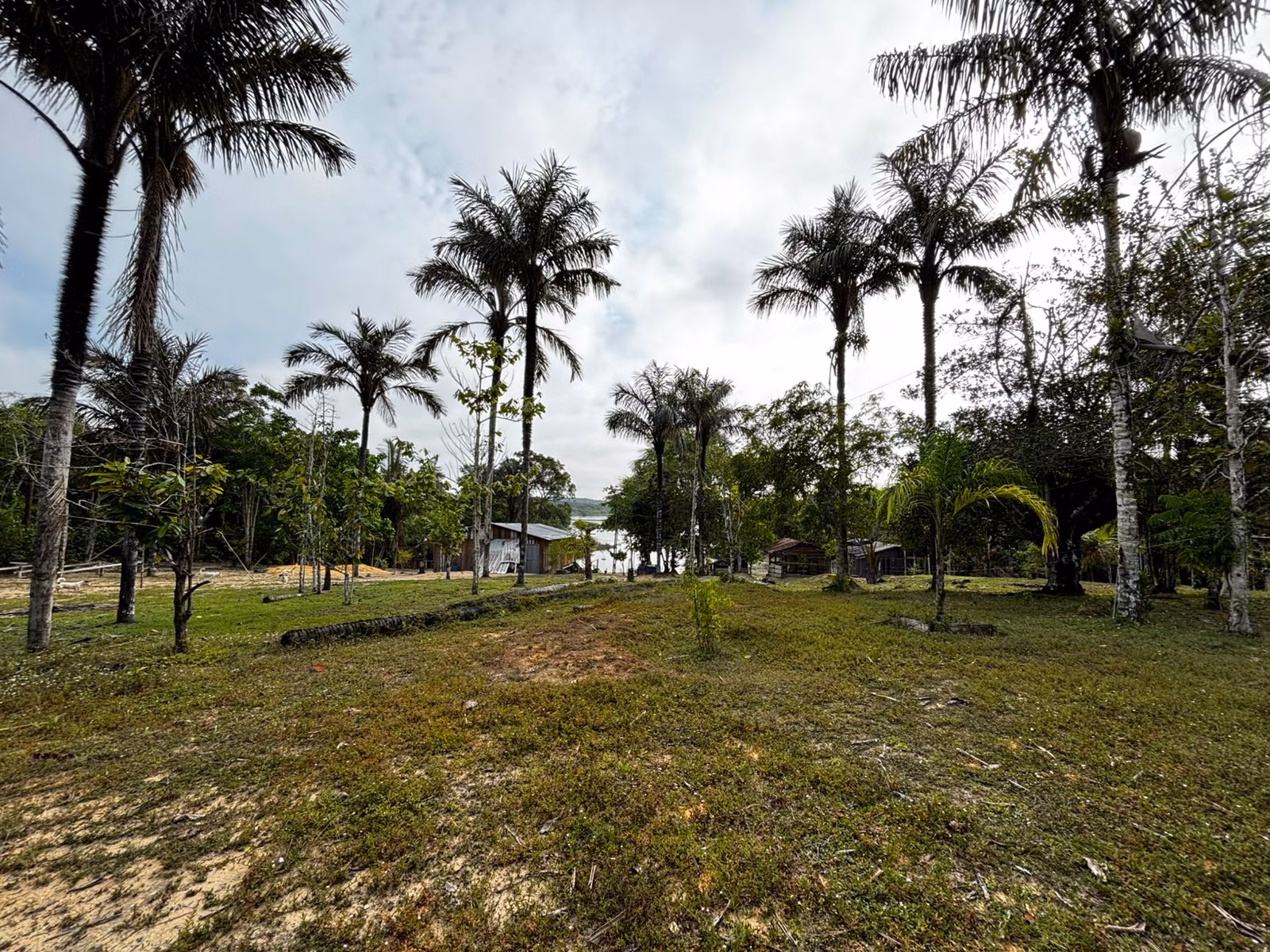 Small farm of 2.471 acres in Manaus, AM, Brazil