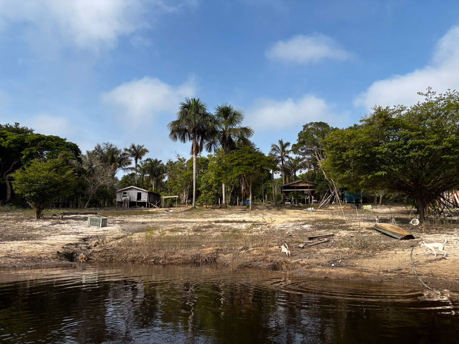 Small farm of 2.471 acres in Manaus, AM, Brazil
