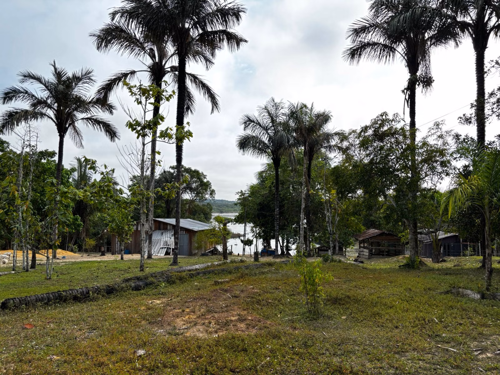 Small farm of 2.471 acres in Manaus, AM, Brazil