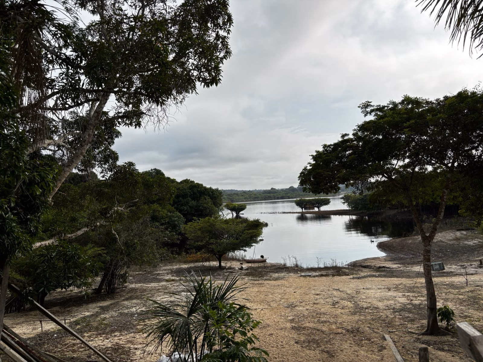 Small farm of 2.471 acres in Manaus, AM, Brazil