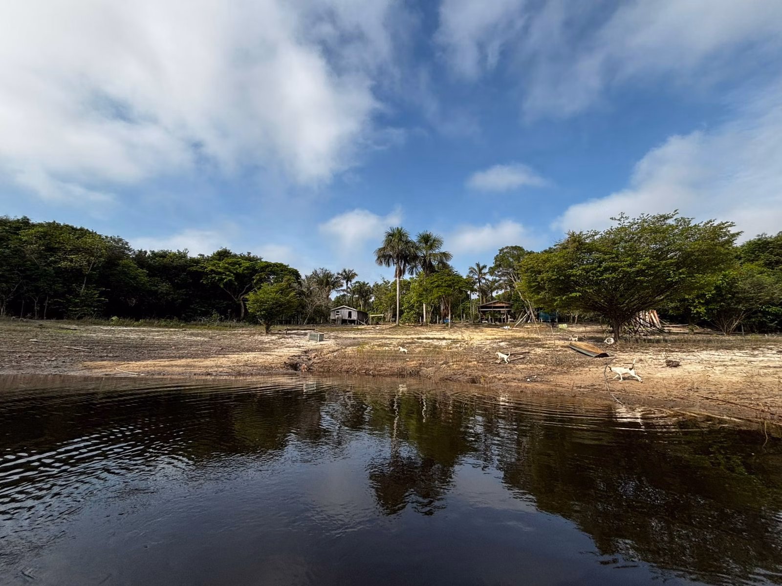 Small farm of 2.471 acres in Manaus, AM, Brazil