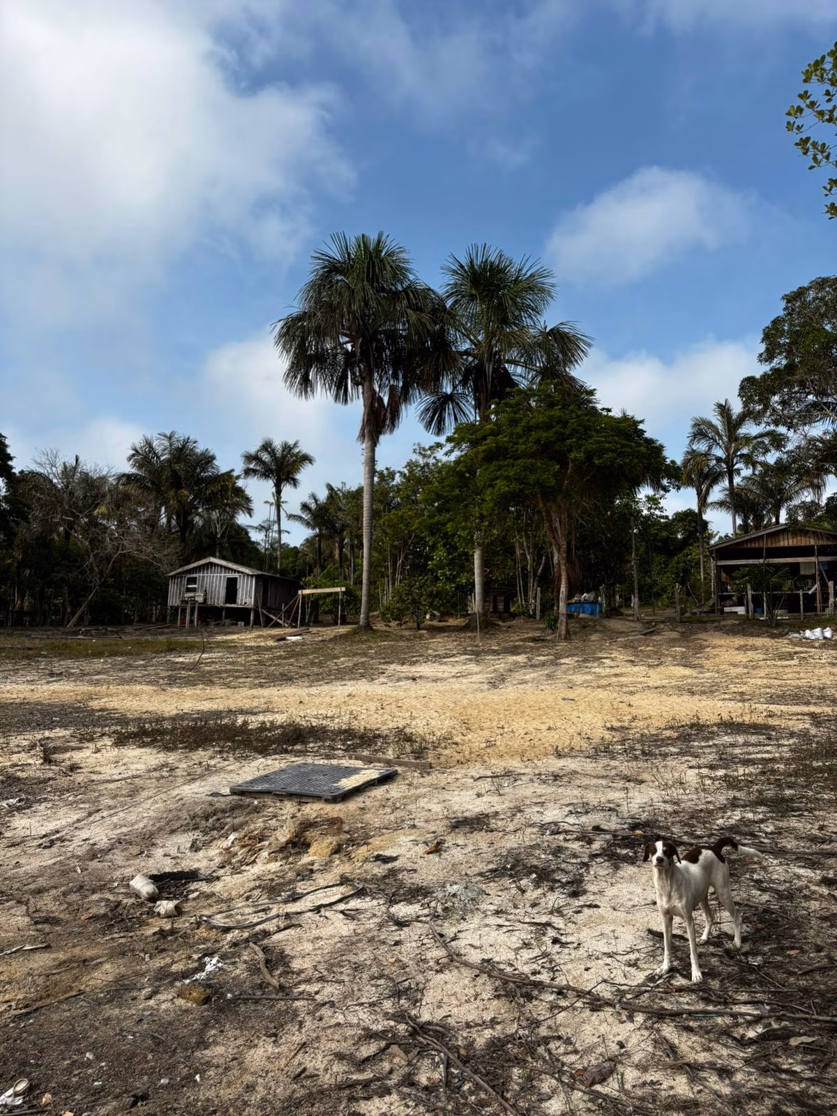 Small farm of 2.471 acres in Manaus, AM, Brazil