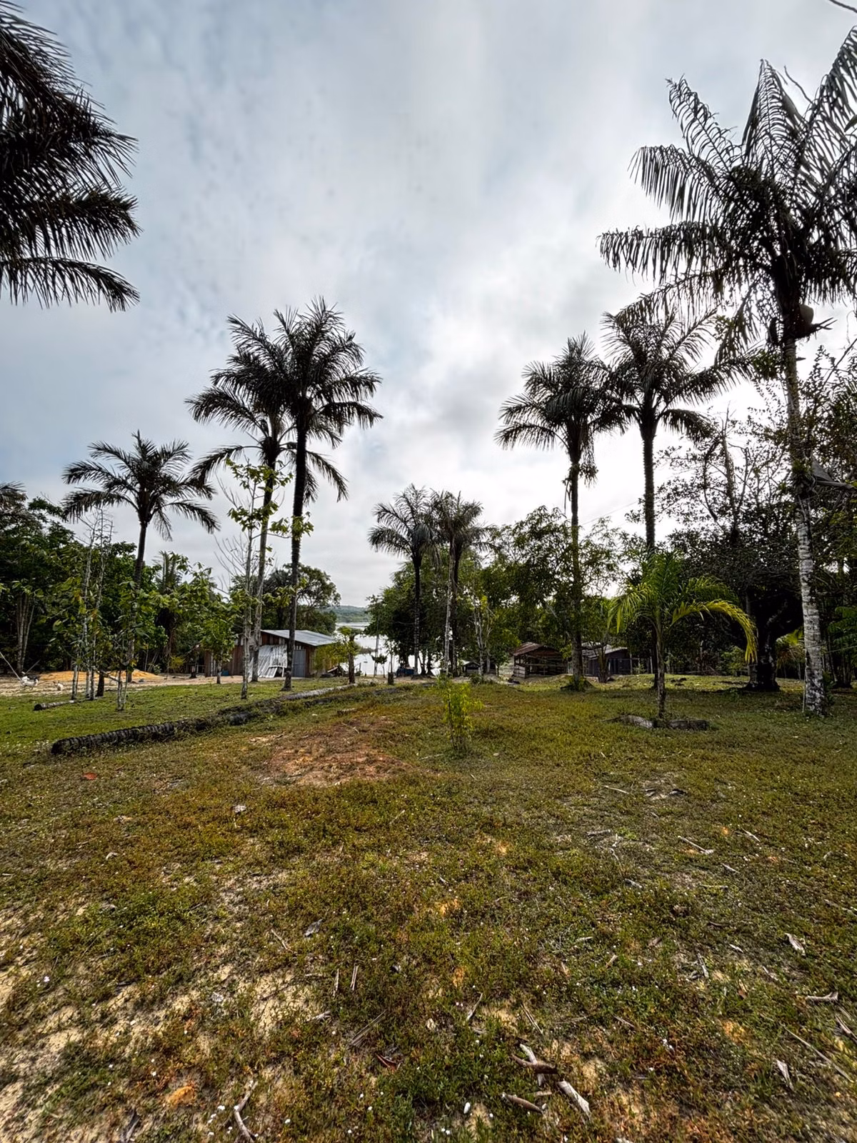 Small farm of 2.471 acres in Manaus, AM, Brazil