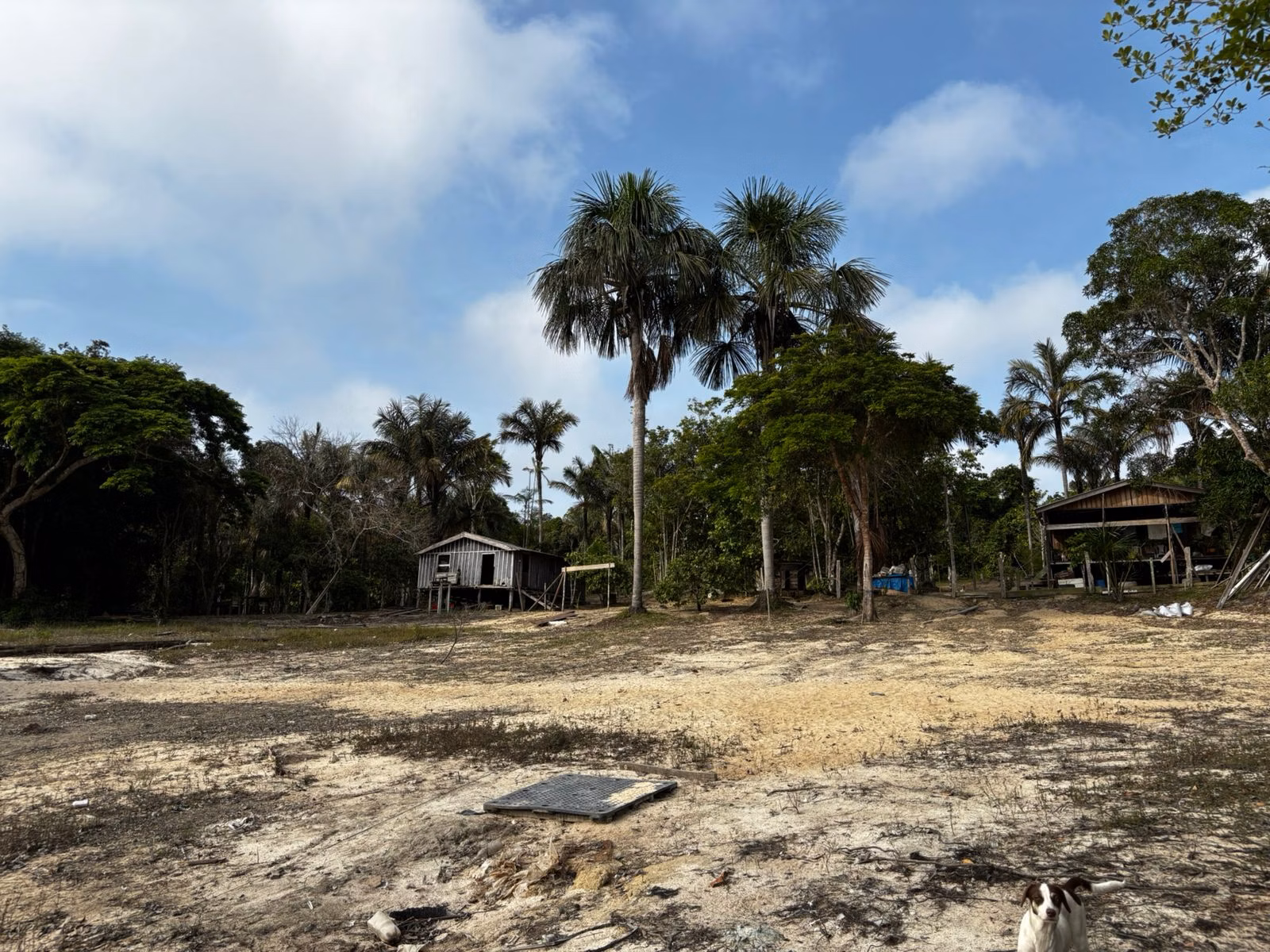 Small farm of 2.471 acres in Manaus, AM, Brazil