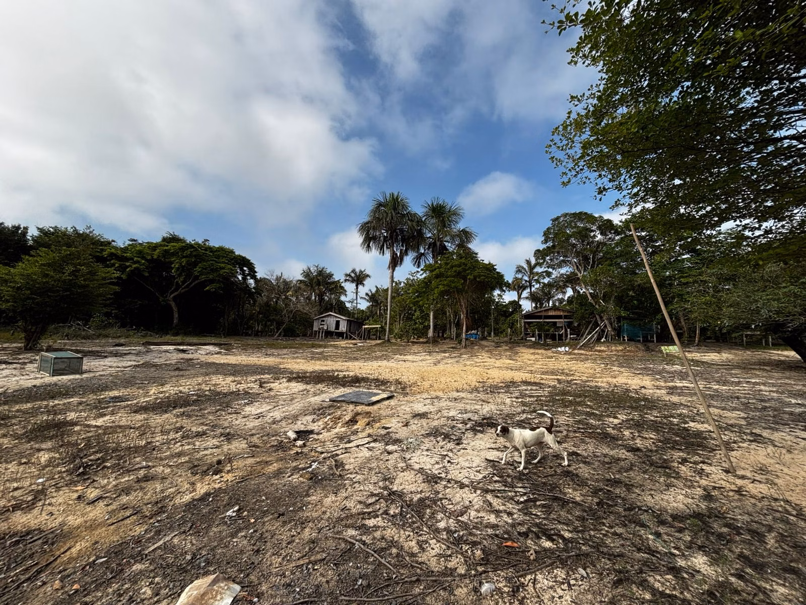 Small farm of 2.471 acres in Manaus, AM, Brazil