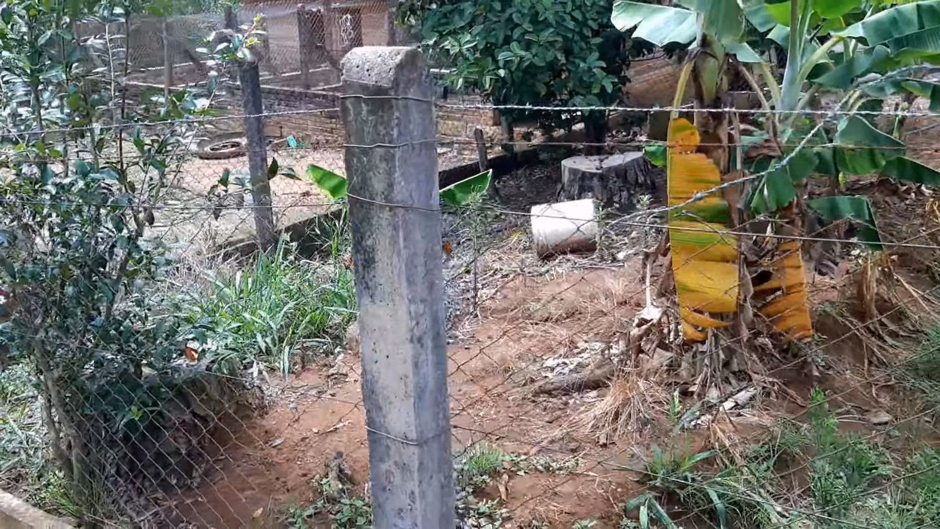 Sítio de 15 ha em Parobé, RS