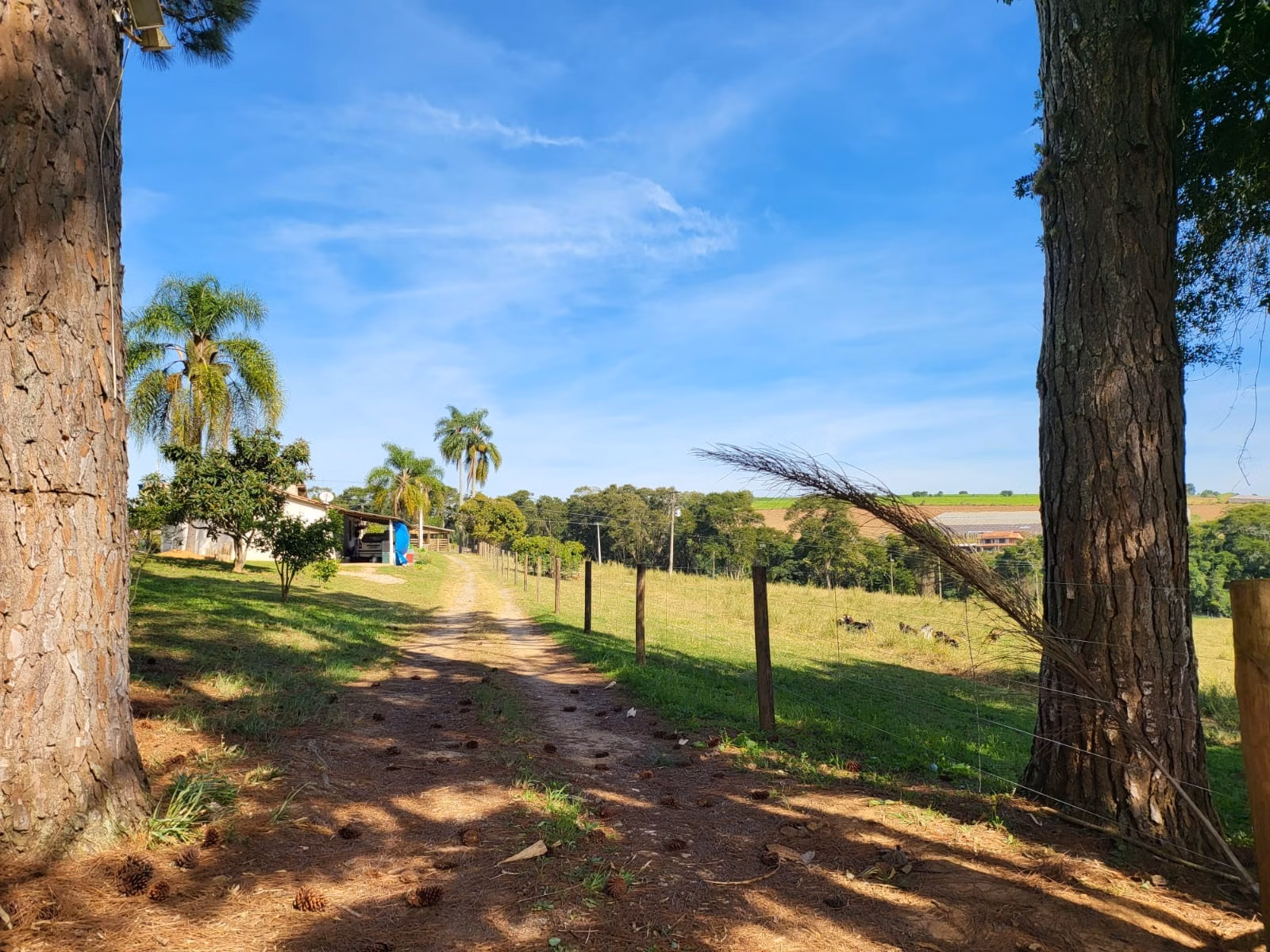 Sítio de 10 ha em São Miguel Arcanjo, SP