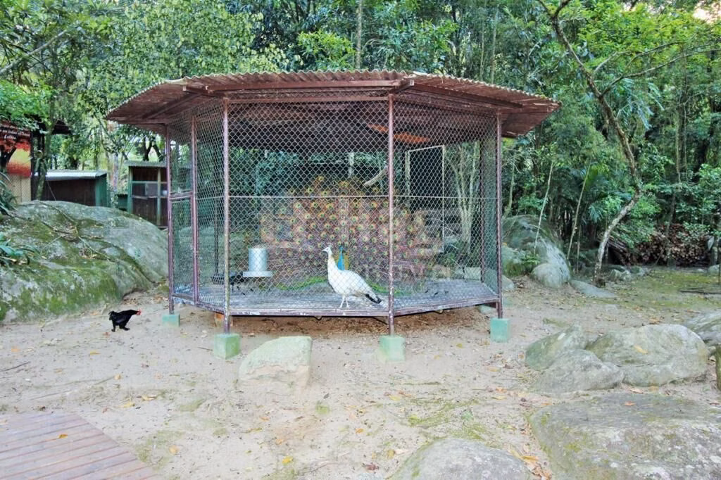 Country home of 2 acres in Canelinha, SC, Brazil