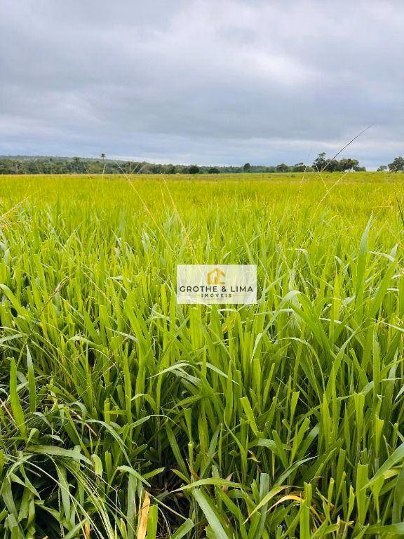 Fazenda de 644 ha em Araguaína, TO