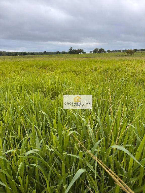 Fazenda de 644 ha em Araguaína, TO