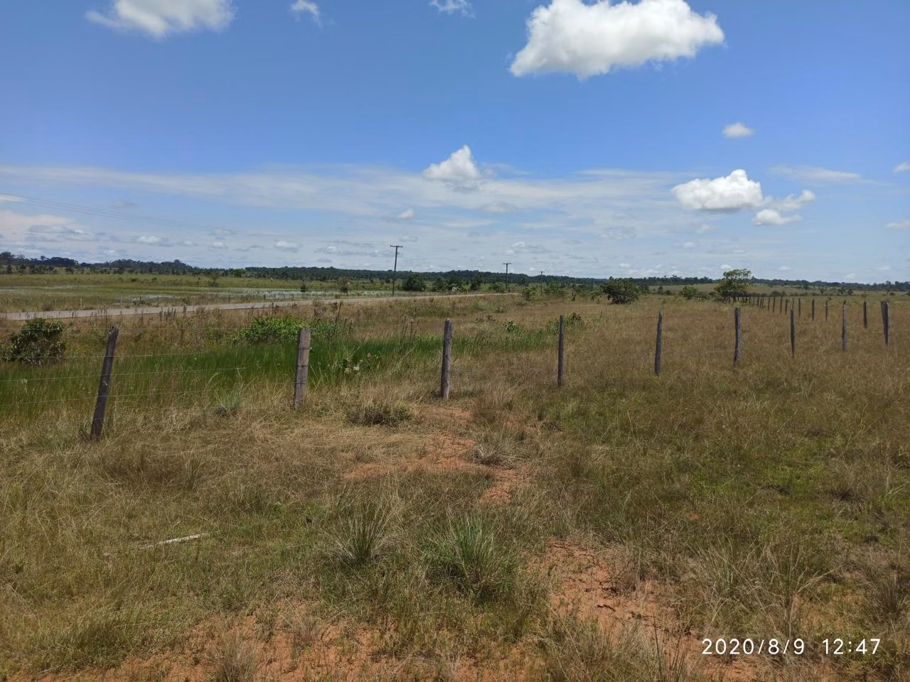 Fazenda de 1.045 ha em Alto Alegre, RR