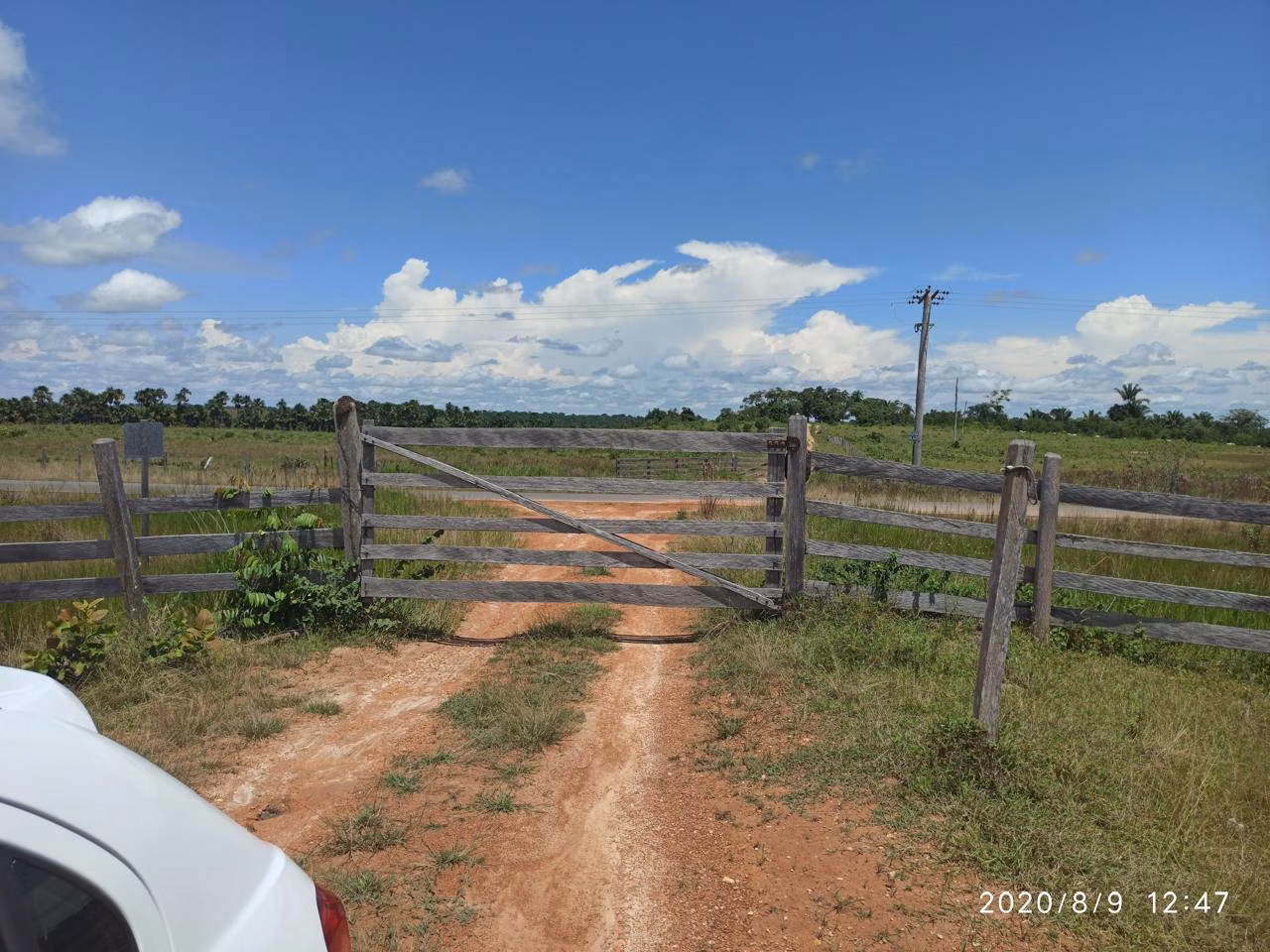 Fazenda de 1.045 ha em Alto Alegre, RR