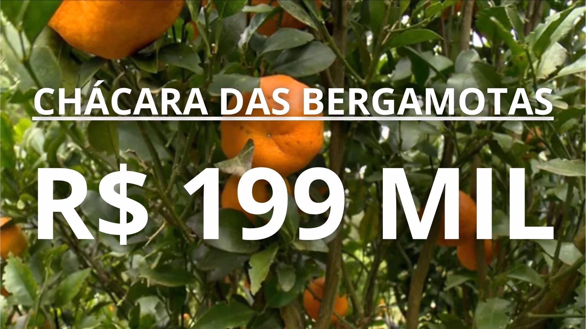 Chácara de 1 ha em Caraá, RS