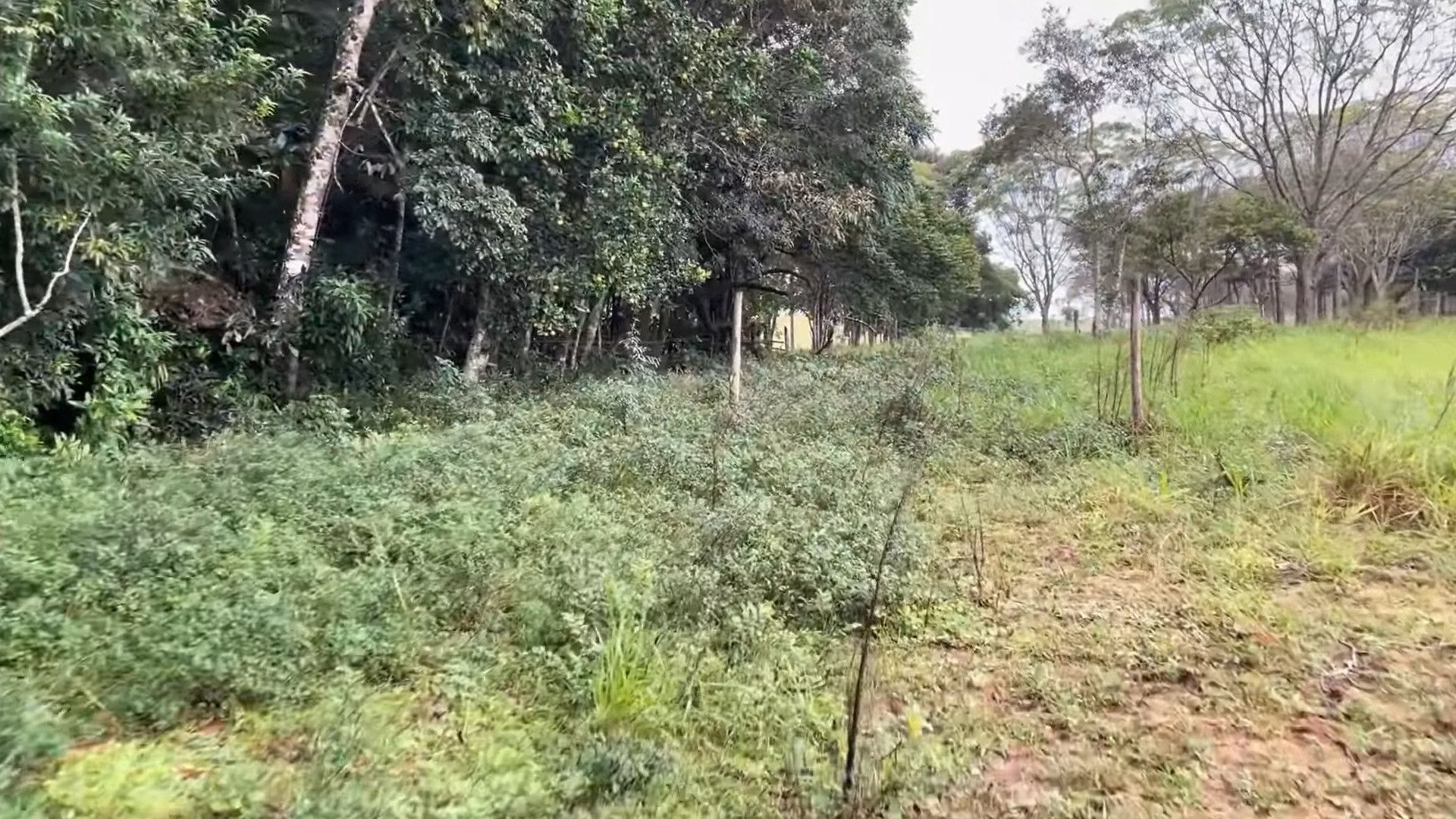 Chácara de 4.400 m² em Torres, RS