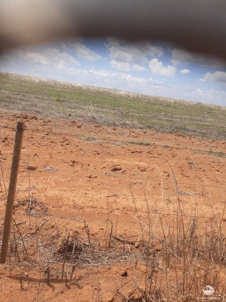 Fazenda de 19.000 ha em São João d'Aliança, GO