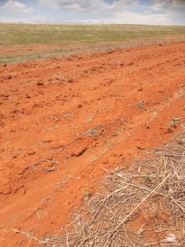 Fazenda de 19.000 ha em São João d'Aliança, GO