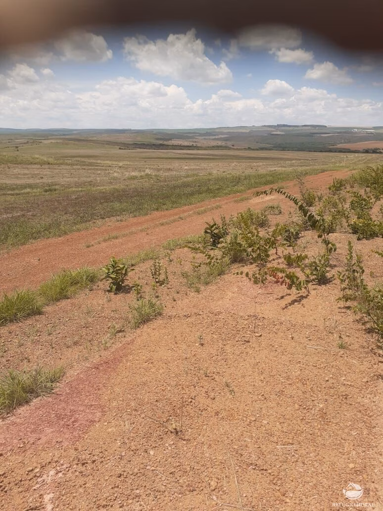Fazenda de 19.000 ha em São João d'Aliança, GO