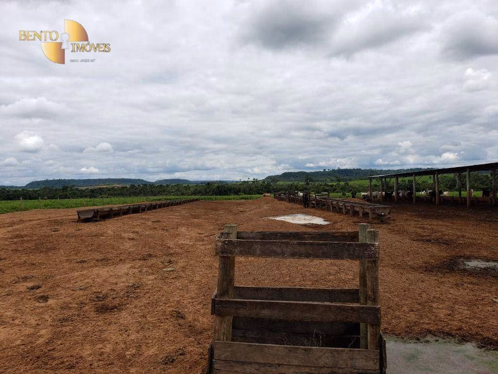 Fazenda de 13.000 ha em Sinop, MT