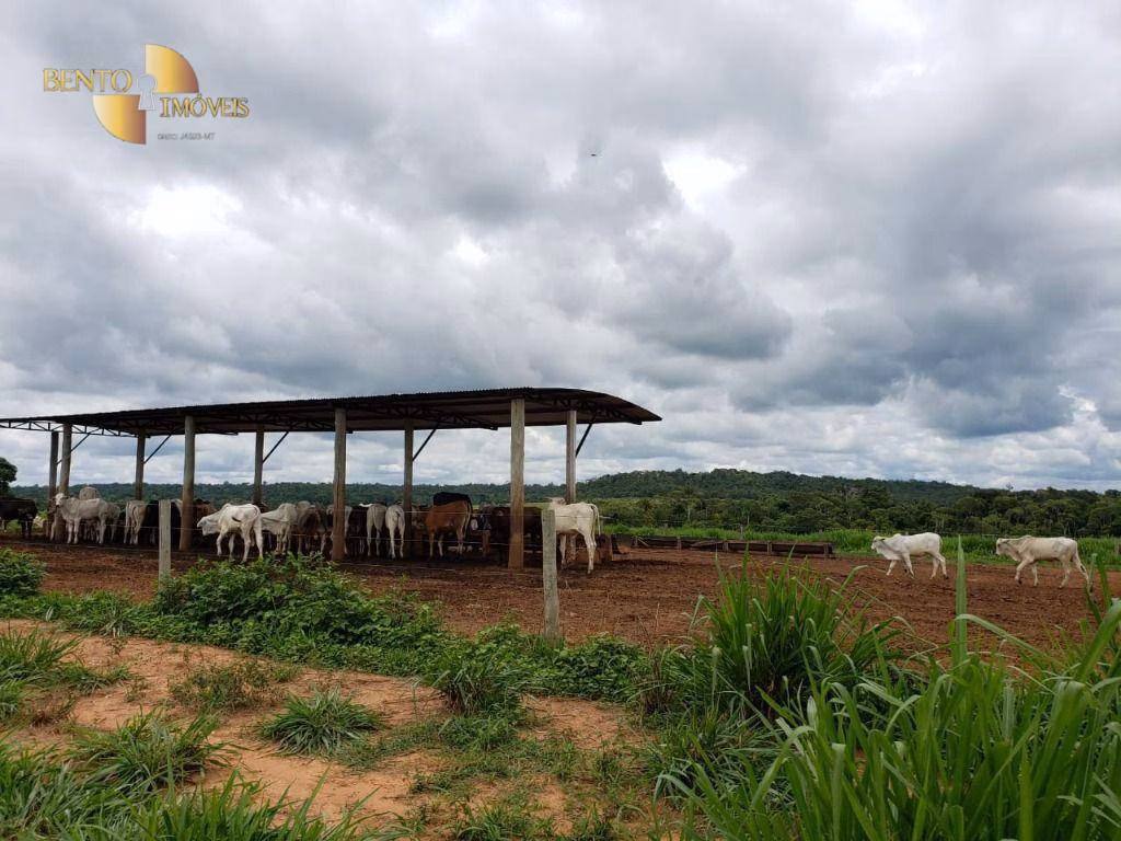 Fazenda de 13.000 ha em Sinop, MT