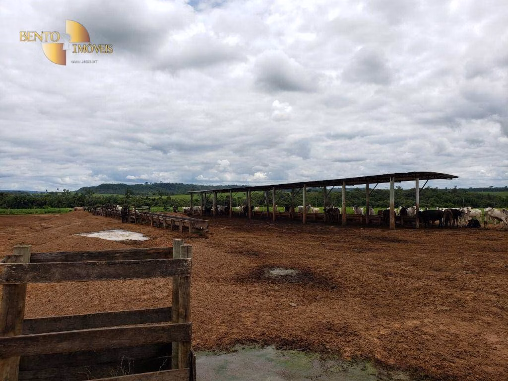 Fazenda de 13.000 ha em Sinop, MT