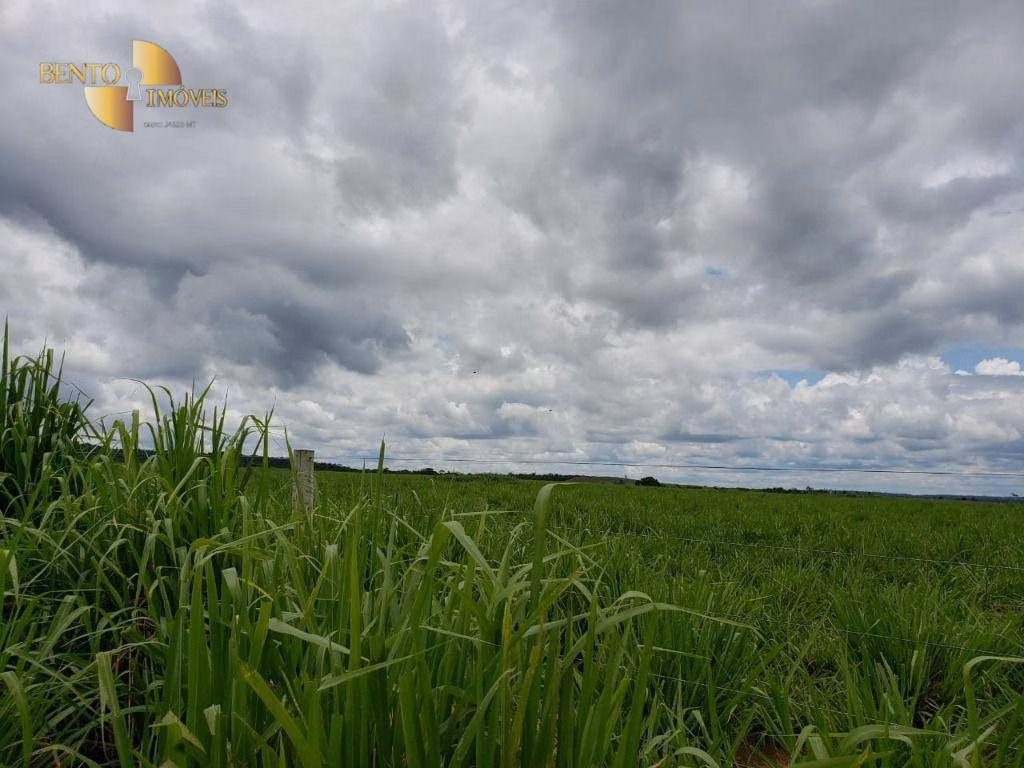 Fazenda de 13.000 ha em Sinop, MT