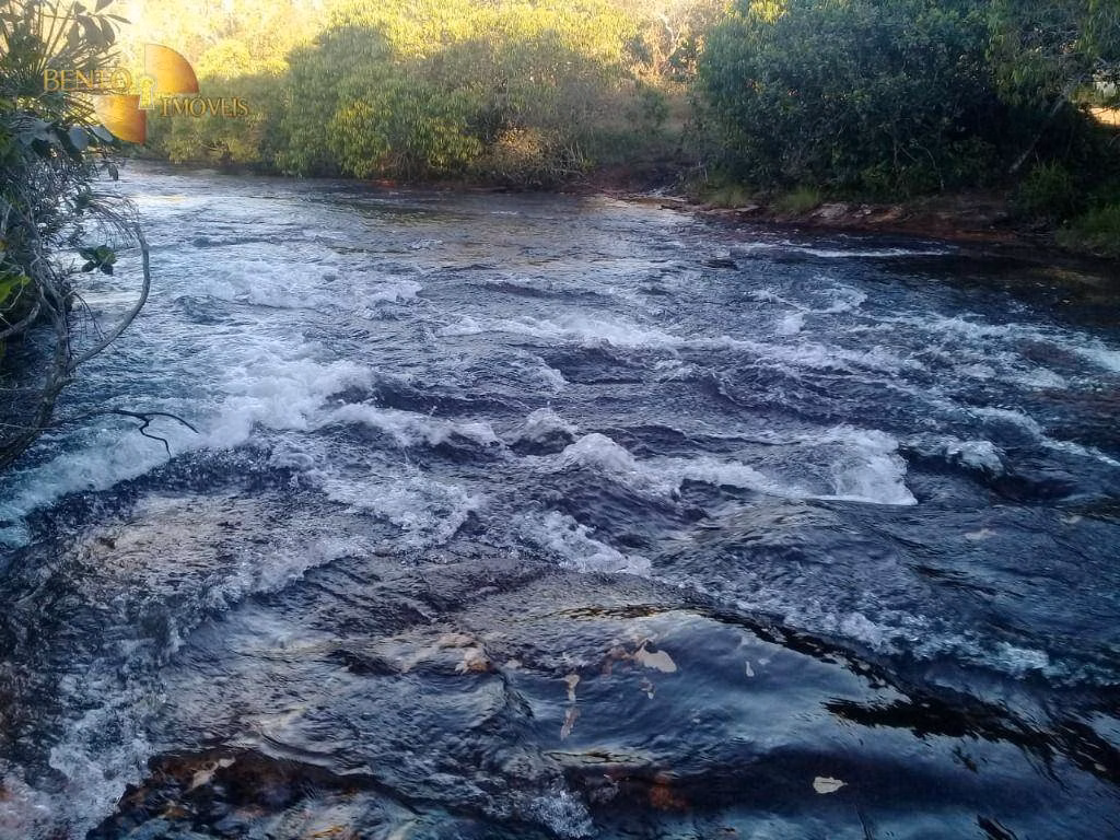 Fazenda de 339 ha em Juscimeira, MT