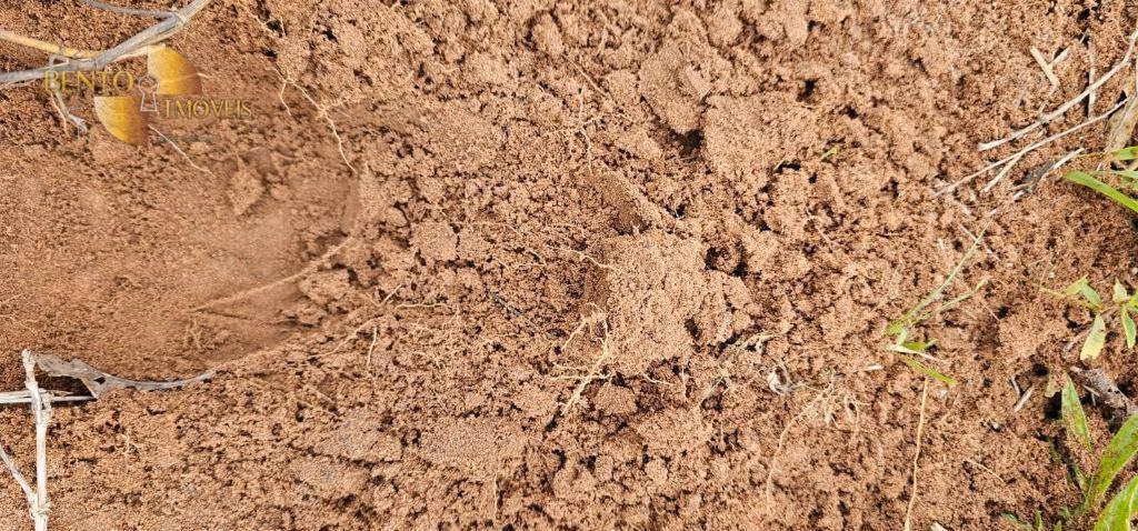Fazenda de 339 ha em Juscimeira, MT
