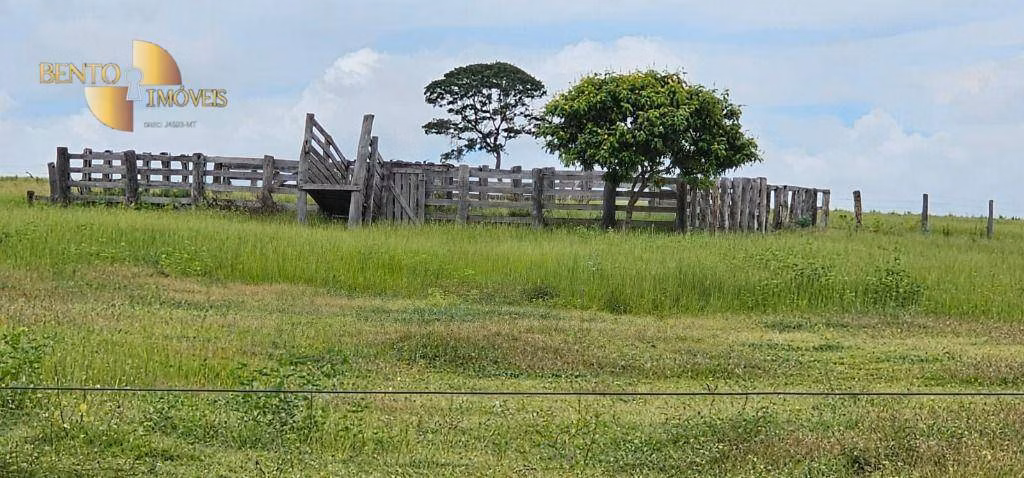 Fazenda de 339 ha em Juscimeira, MT