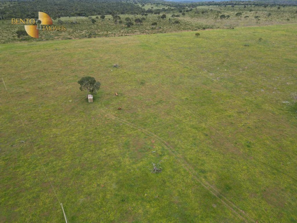Fazenda de 339 ha em Juscimeira, MT